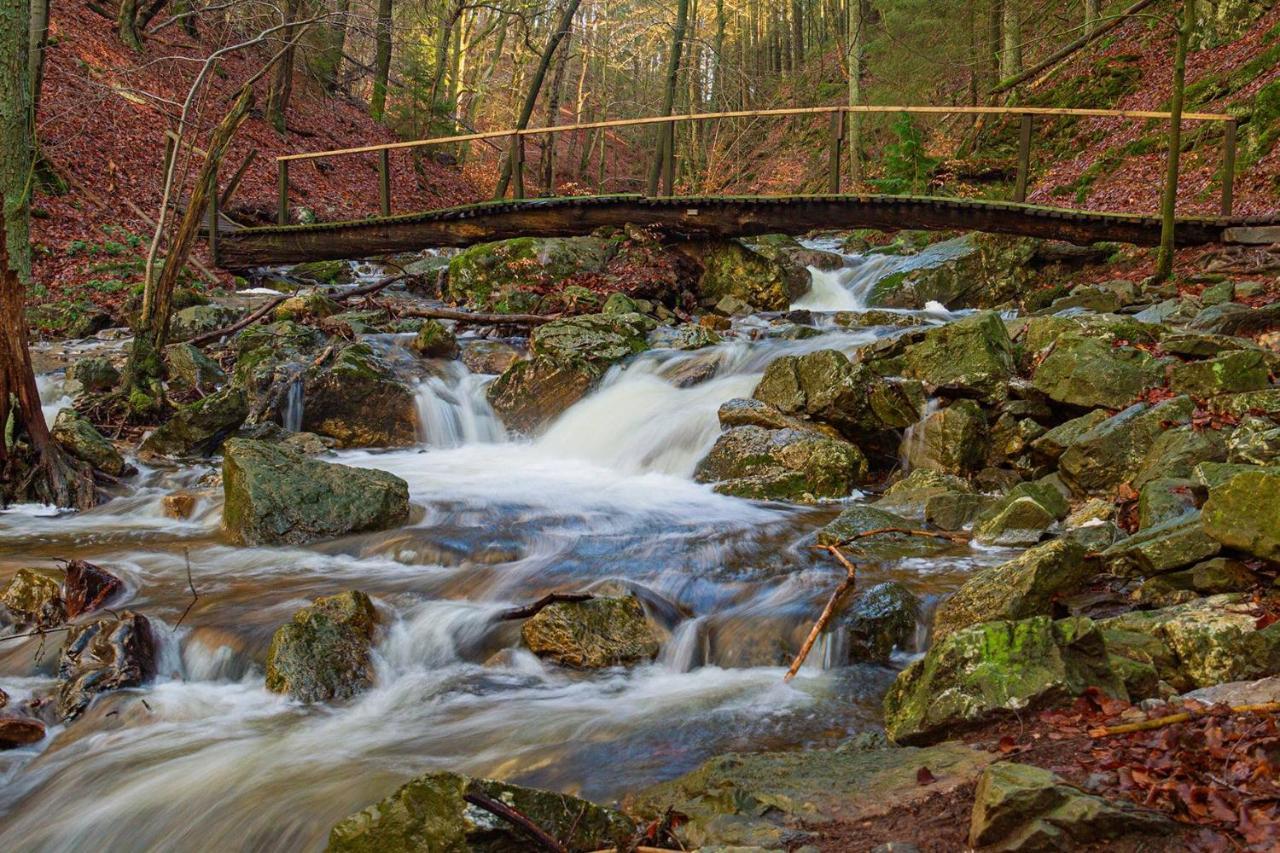 Greenhouse Sart-lez-Spa Dış mekan fotoğraf